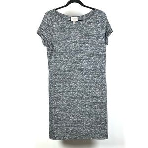 Ann Taylor Loft Women's Black Gray Short Sleeve Stretch Dress Medium